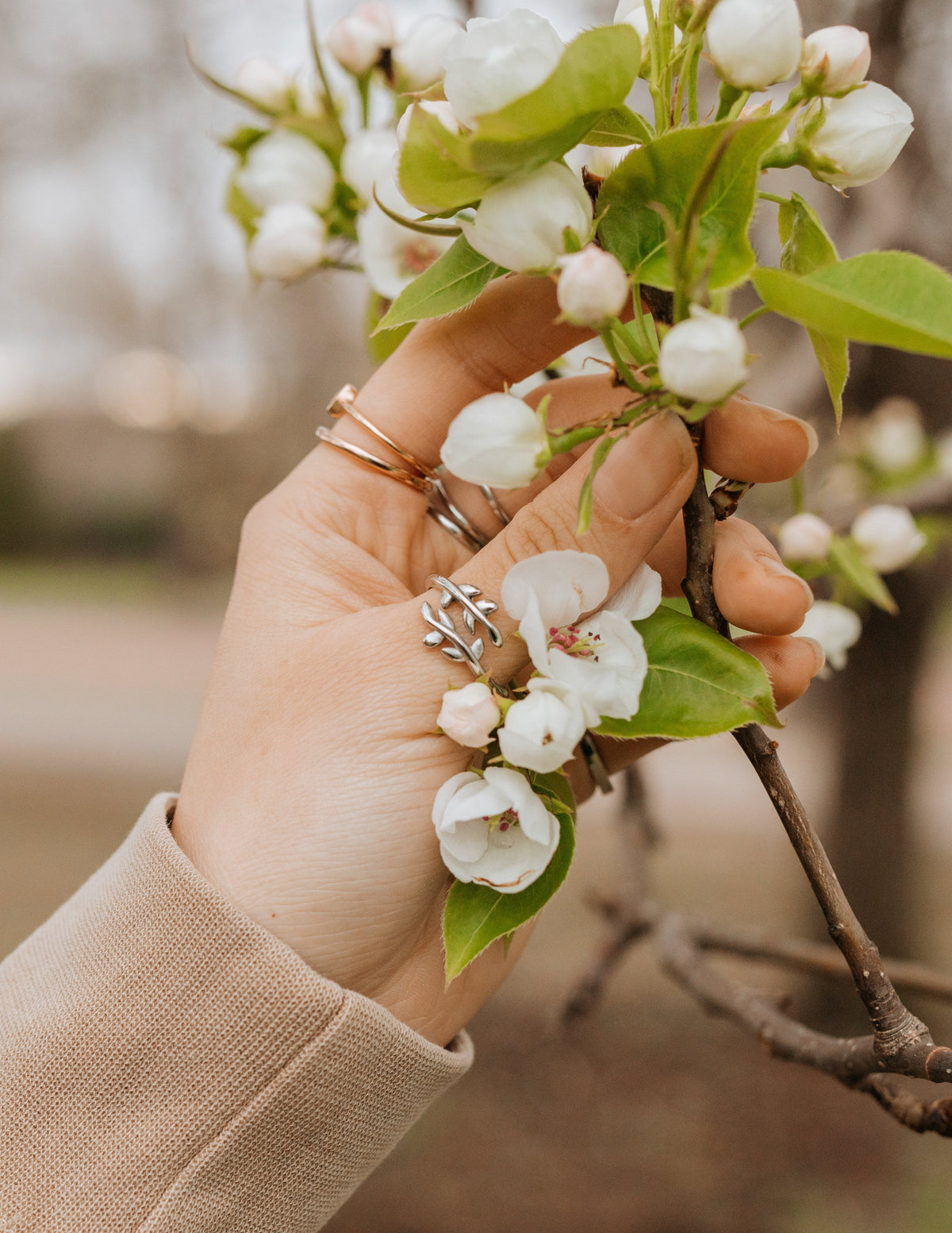 Olive Branch Ring – Symbol of Peace & New Beginnings